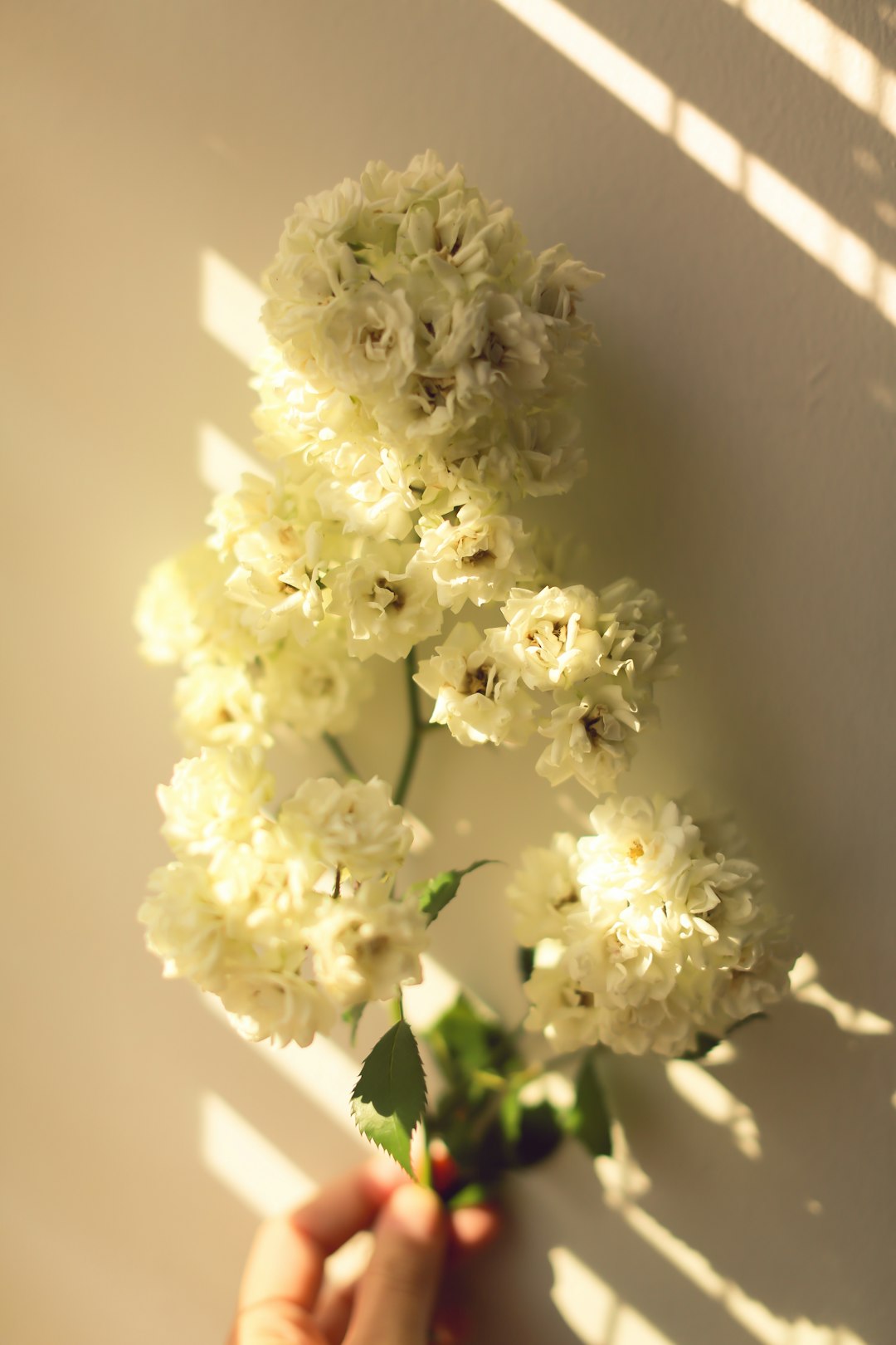 Deep Cleaning Service